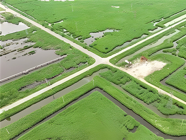 Build green and low-carbon oil fields to be the pillar of green development